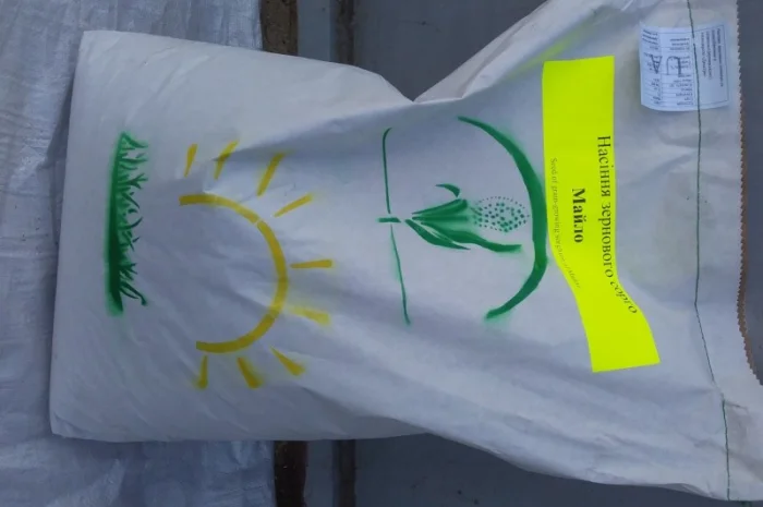 Продам насіння сорго " майло" "зуні"- фото № 3