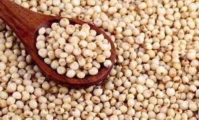 Продам Сорго червоне- фото № 1