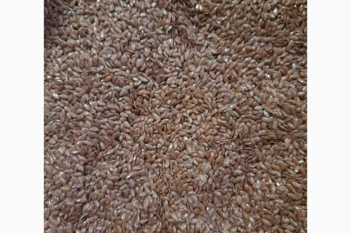 Зерновые Лён, Мак, Тмин, Чечевица, Кориандр, Ядро тыквы, Ядро подсолнуха- фото № 3