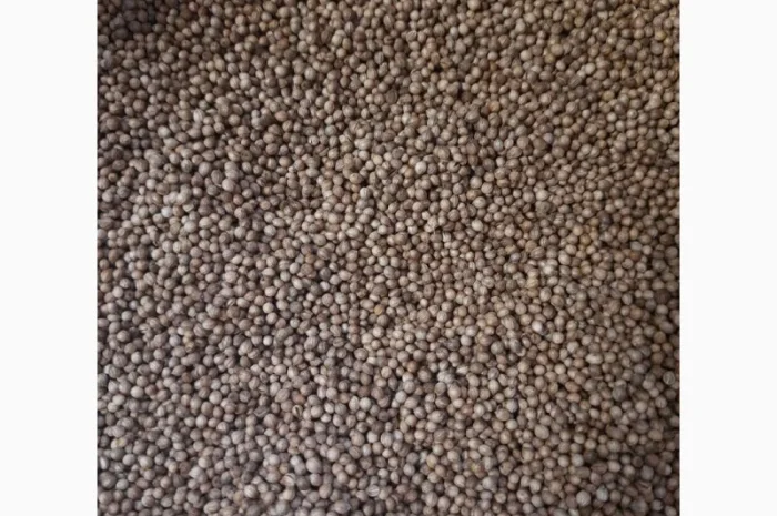 Тмин, Кмин, Насіння Кмин, Семена Тмин- фото № 2