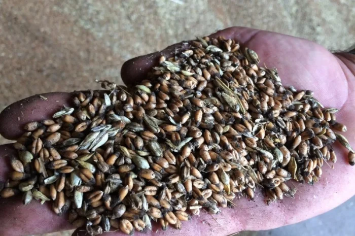 Куплю некондицію- фото № 1