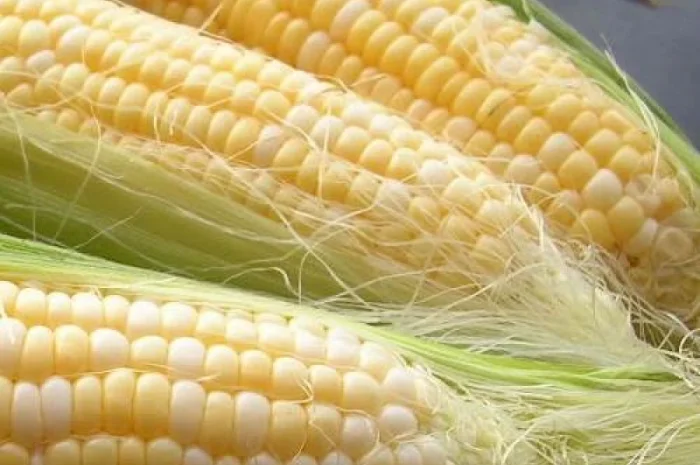 Організація закупляе зернові, відходи зернових, крупи та іншу продукцію- фото № 2