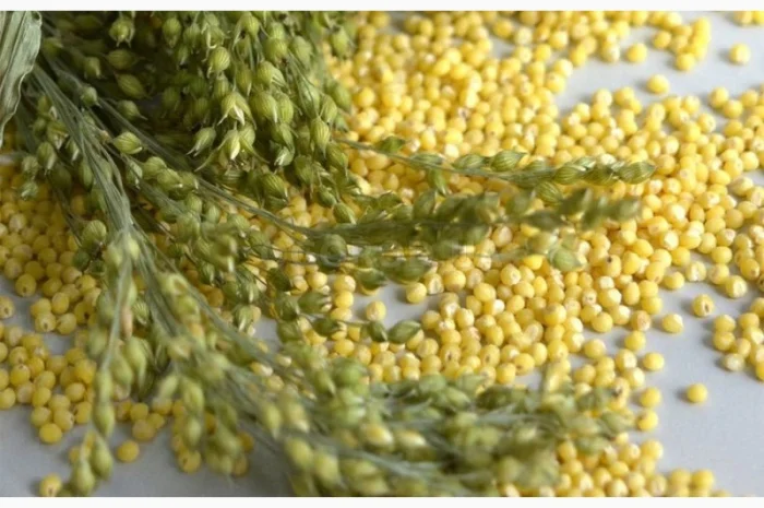 Організація закупляе зернові, відходи зернових, крупи та іншу продукцію- фото № 5