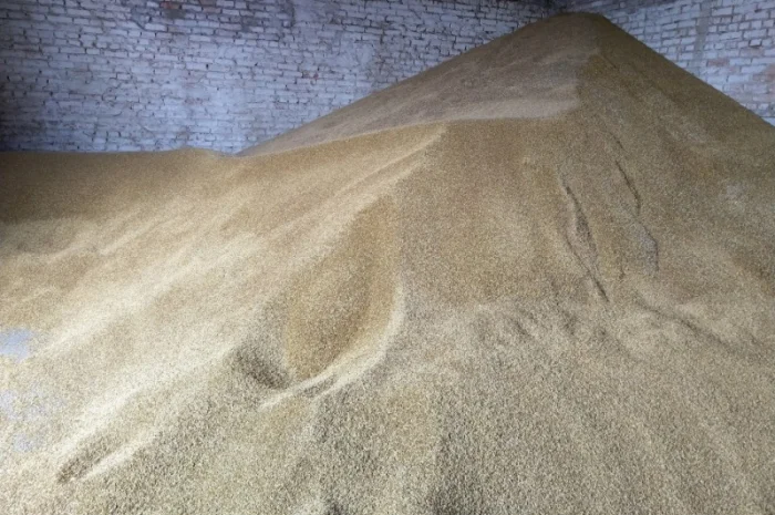 Куплю зерно- фото № 1