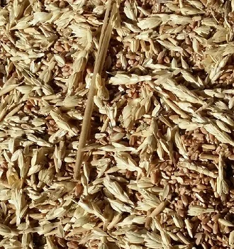 Покупаю отходы: зерновых, бобовых, масличных. Зерноотходы куплю- фото № 1