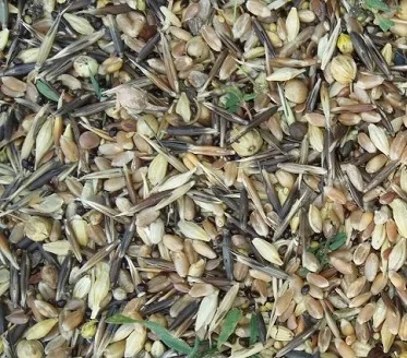 Куплю отходы зерновые, масличные, бобовые- фото № 1