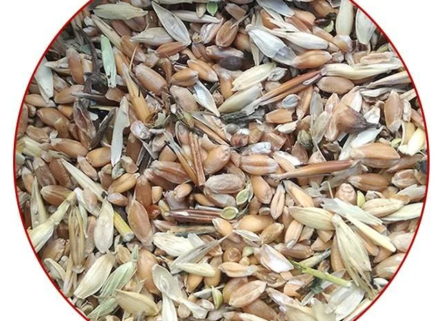 Постійно закуповую зерновідходи та некондицію- фото № 1