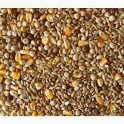 Постійно закуповуємо зерновідходи с/г культур та некондицію- фото № 1