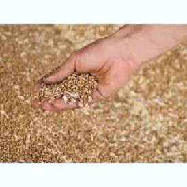 Купую зерновідходи та некондицію з самовивозом- фото № 1