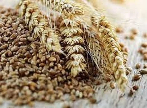 Купуємо з самовивозом відходи с.г. культур- фото № 1