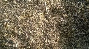 Постійно купуємо некондицію, зерновідходи- фото № 1