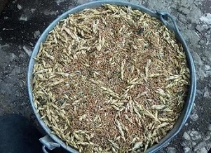 Зерновідходи куплю. Закуповую зернові, олійні, бобові відходи- фото № 1