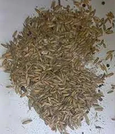 Некондиция, отходы зерновых, бобовых, масличных. Куплю- фото № 1