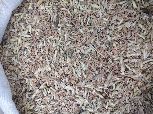 Купуємо зерновідходи, некондицію- фото № 1