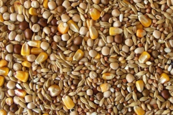 Куплю отходы кукурузы, подсолнечника, сои, пшеницы, ячменя, проса- фото № 1