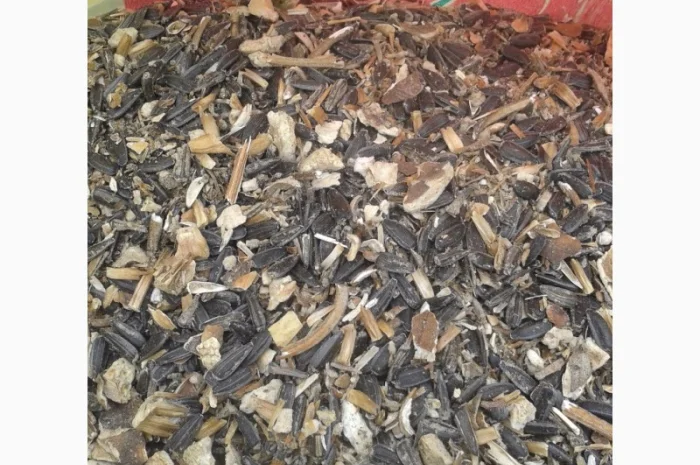 Закупаем зерноотходы, некондицию- фото № 1