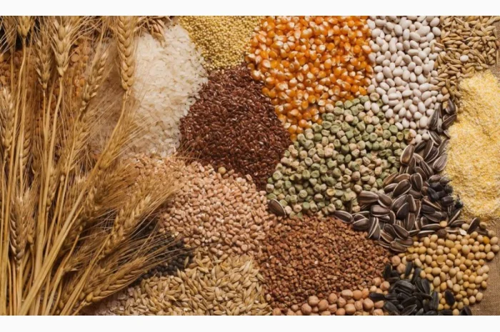 Куплю зерно, зерноотходы, некондицию- фото № 1