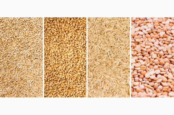 Куплю зерно, Зерновідходи, некондицію- фото № 1