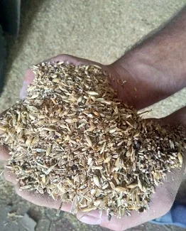 Зерноотходы зерновые. Отходы масличные. Бобовые зерноотходы- фото № 1