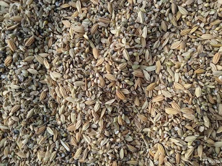 Куплю отходы Зерновые, масличные, бобовые- фото № 1