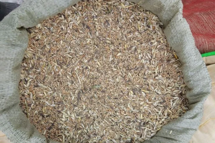 Куплю некондиционное зерно. Отходы зерновых, бобовых, масличных- фото № 1