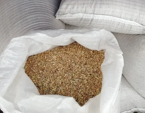 Зерновідходи, некондиція. Закупівля- фото № 1