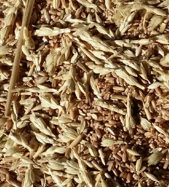 Куплю Зерноотходы. Масличные отходы. Бобовые отходы- фото № 1