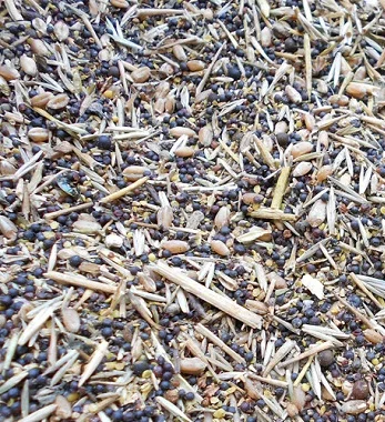 Куплю зерноотходы с самовывозом- фото № 1