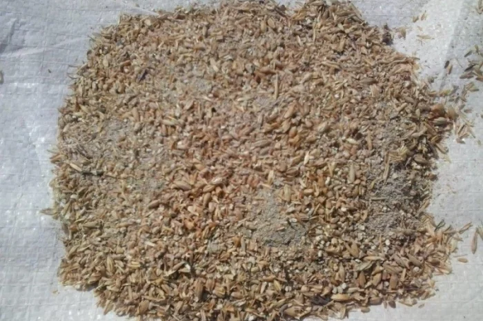 Куплю зерновые отходы, бобовые, масличные отходы- фото № 1