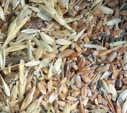 Куплю бобовые- фото № 1