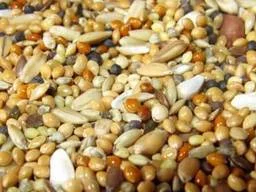 Купуємо зерновідходи, некондицію побічний продукт- фото № 1