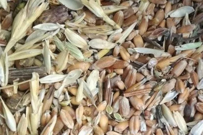 Куплю відходи соняшника, сої, кукурудзи, пшениці- фото № 1