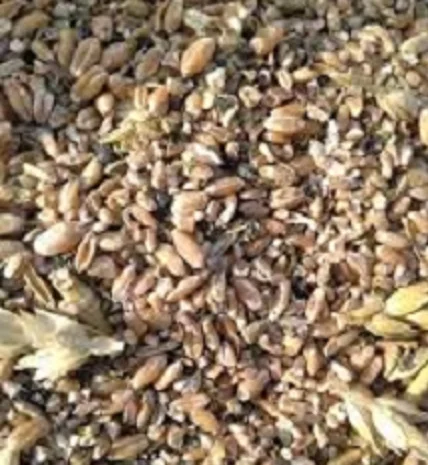 Куплю відходи с.г. культур. Купуємо зерновідходи- фото № 1