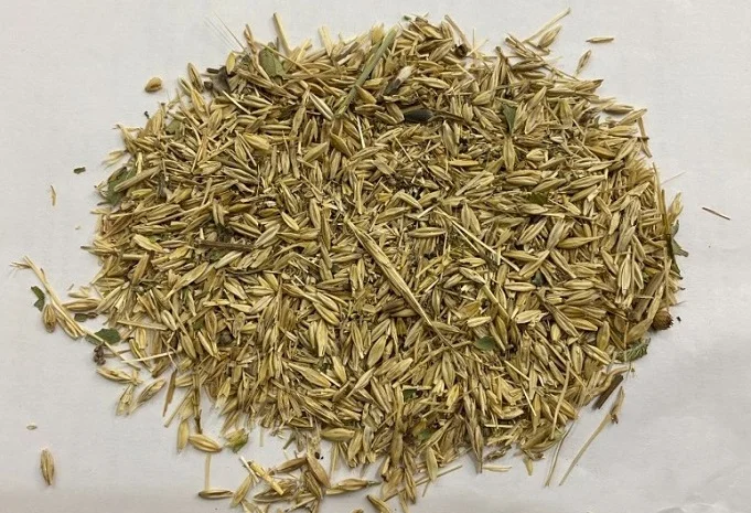 Закуповуємо зерновідходи. Працюємо з посередниками- фото № 1