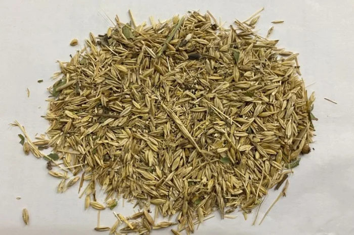 Закупаем зерноотходы, некондицию сельскохозяйственных культур- фото № 1