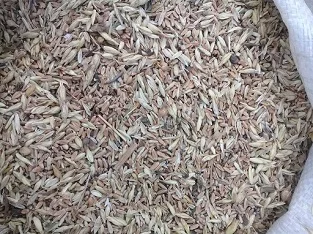 Купую на постійній основі некондиційне зерно- фото № 1