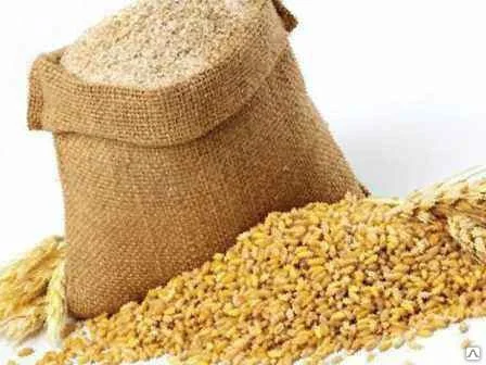 Постійно купуємо зерновідходи, некондицію- фото № 1