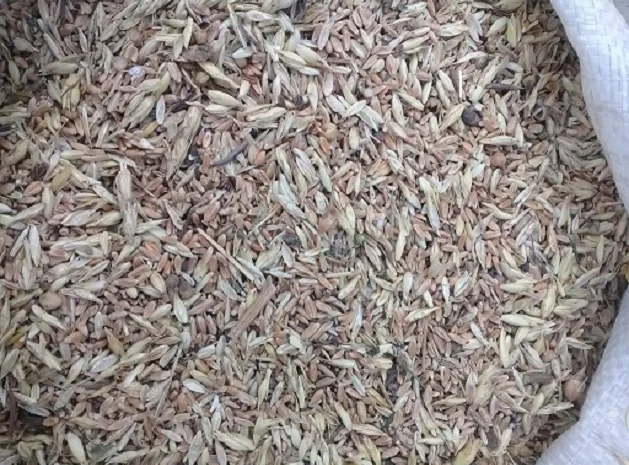 Закуповуємо зерновідходи та некондиційне зерно- фото № 1