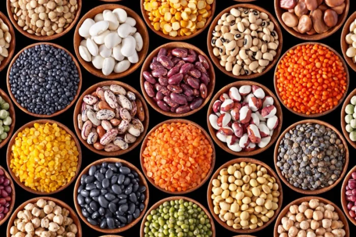 Купимо : ріпак, сою куку соняшник пшеницю сорго просо горох та інші культури- фото № 1