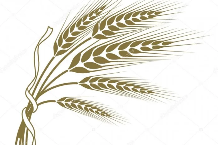 Закупка в порт! зерновые- фото № 1