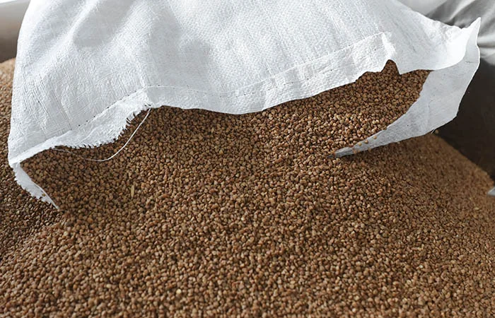 Завод по переработке зерновых культур проводит закупку Гречихи- фото № 1