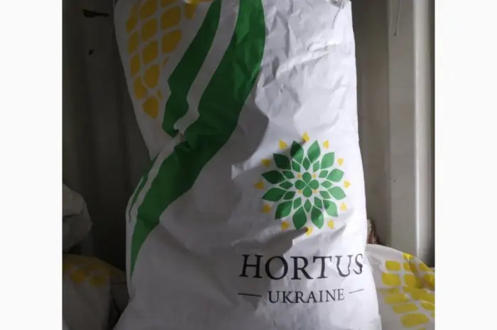 Продам посівну кукурудзу та соняшник- фото № 1