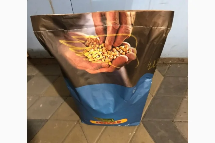 Продам посівну кукурудзу та соняшник- фото № 2