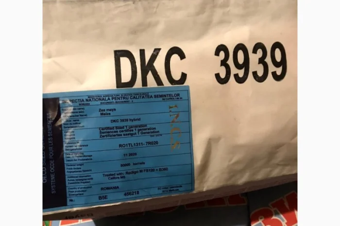 Продам посівну кукурудзу та соняшник- фото № 3