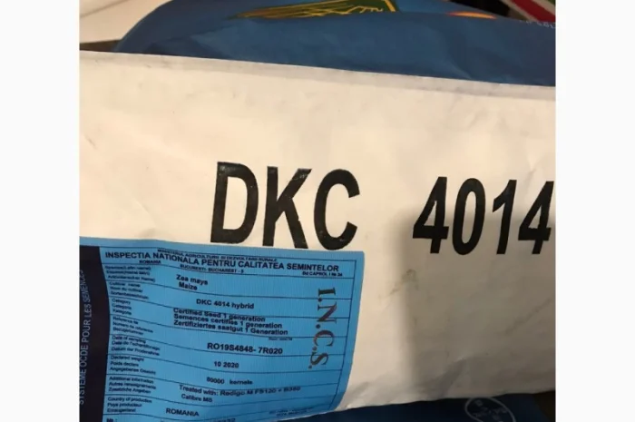 Продам посівну кукурудзу та соняшник- фото № 4