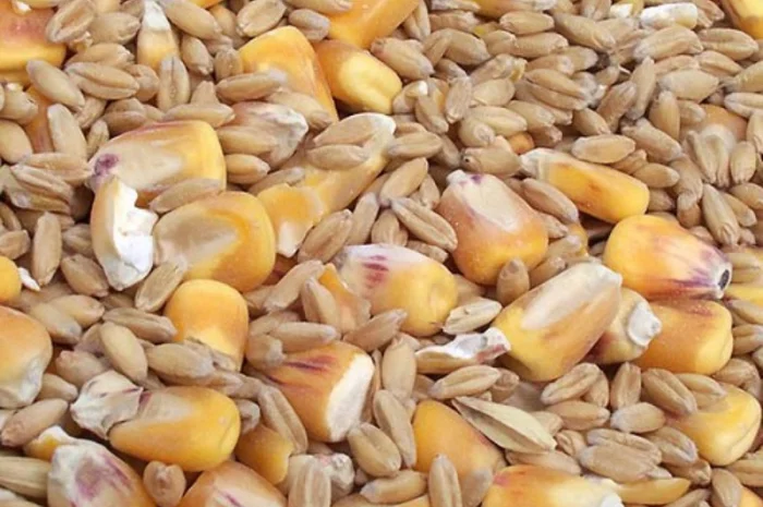 Куплю проблемное зерно- фото № 1