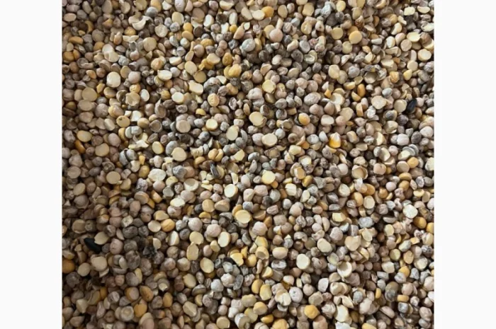 Кукурудза горох соя нут зернові відходи від 20 тон- фото № 1