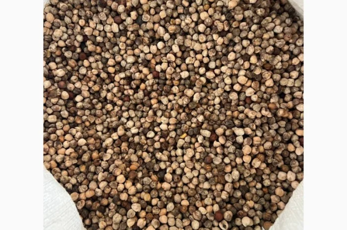 Кукурудза горох соя нут зернові відходи від 20 тон- фото № 3