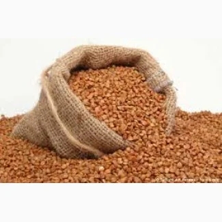 Продам Гречку Пшеницю Ячмінь та Овес- фото № 1