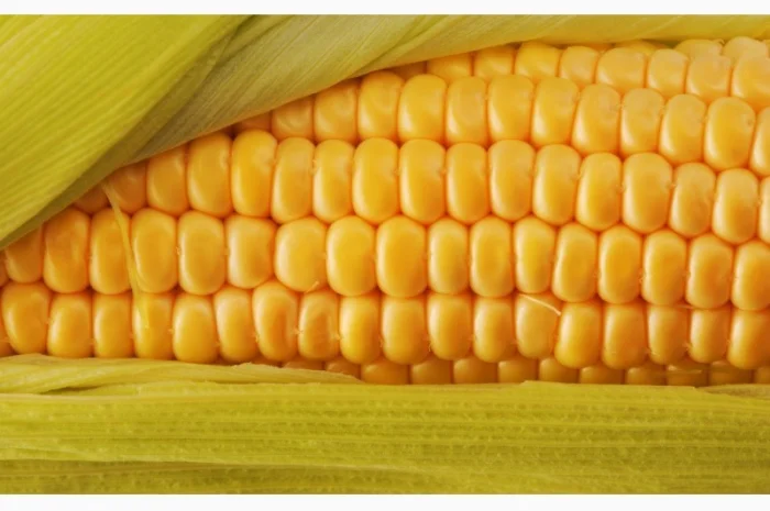 Закупка масличных и зерновых культур, Украина- фото № 1